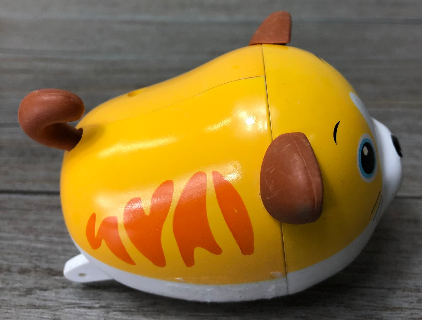 Yellow Rolly Kitty, None