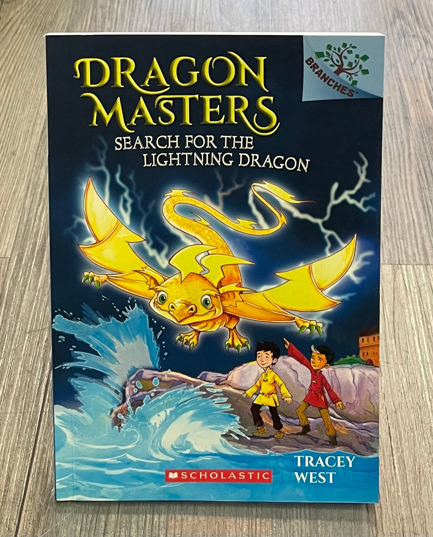 Multi Dragon Masters #7, Paperback