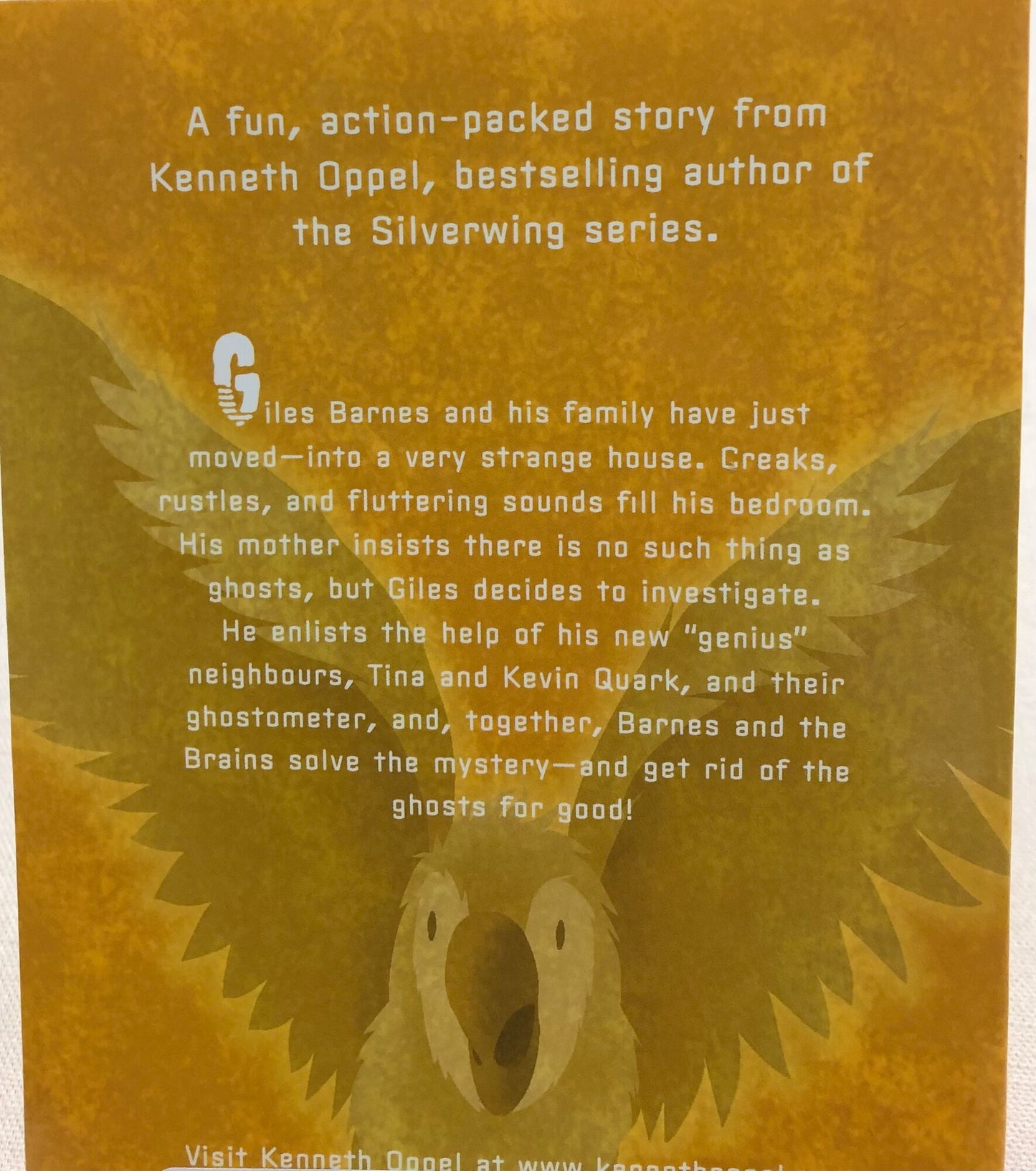 Multi A Bad Case Of Ghosts, Paperback