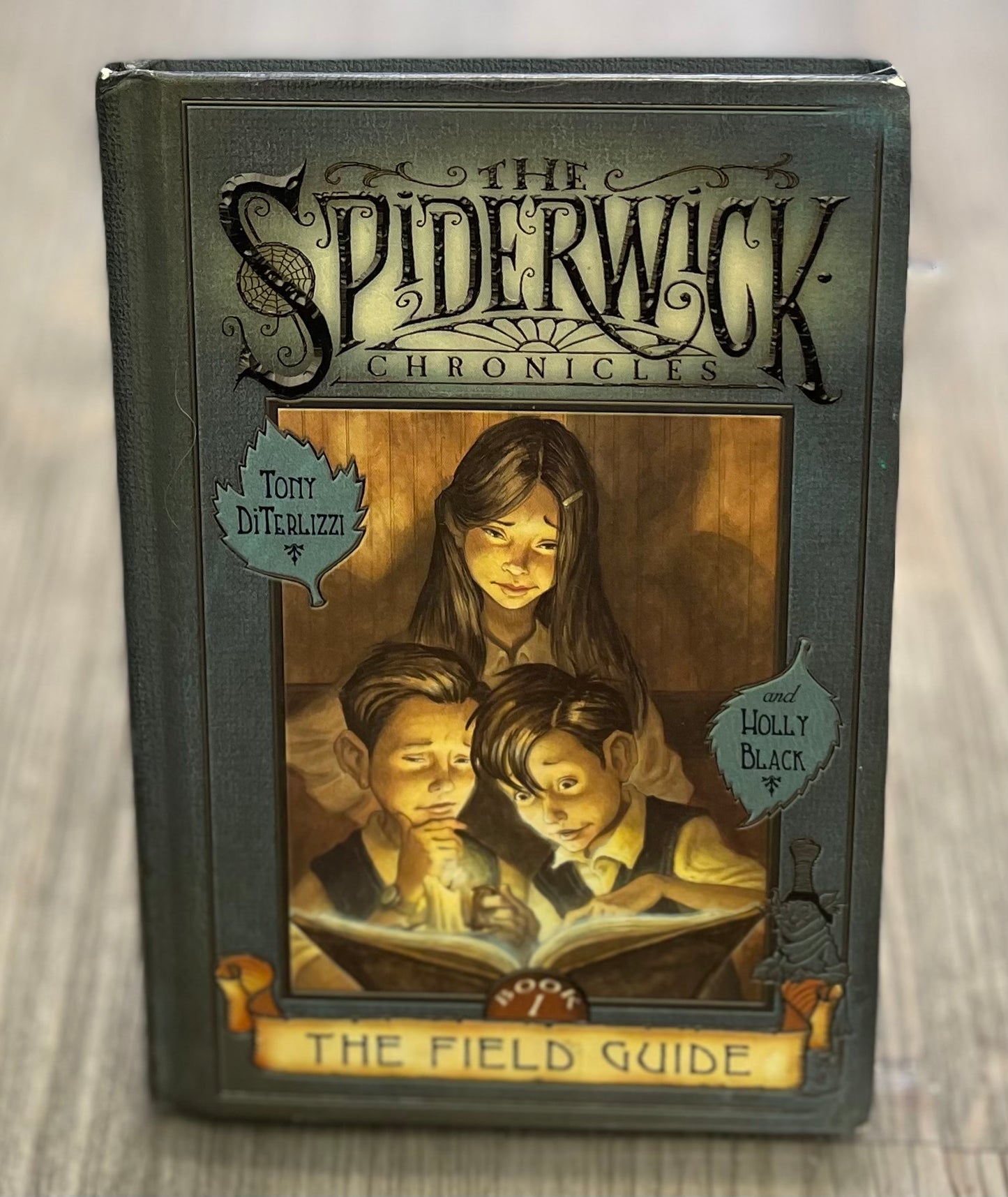 Multi The Spiderwick Chronicles, Hardcover