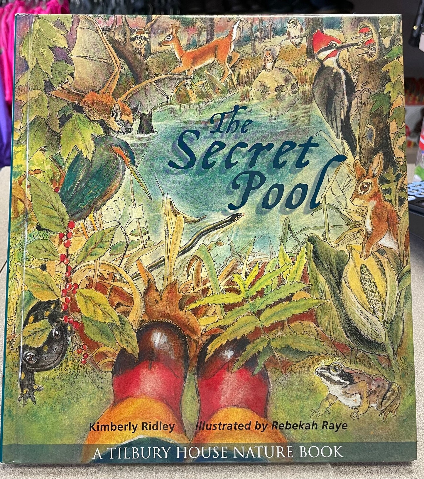 Multi  The Secret Pool, Hardcover