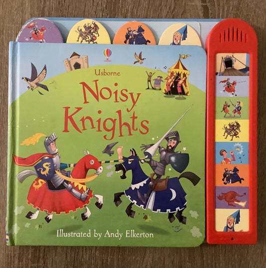 Multi  Noisy Nights, Hardcover