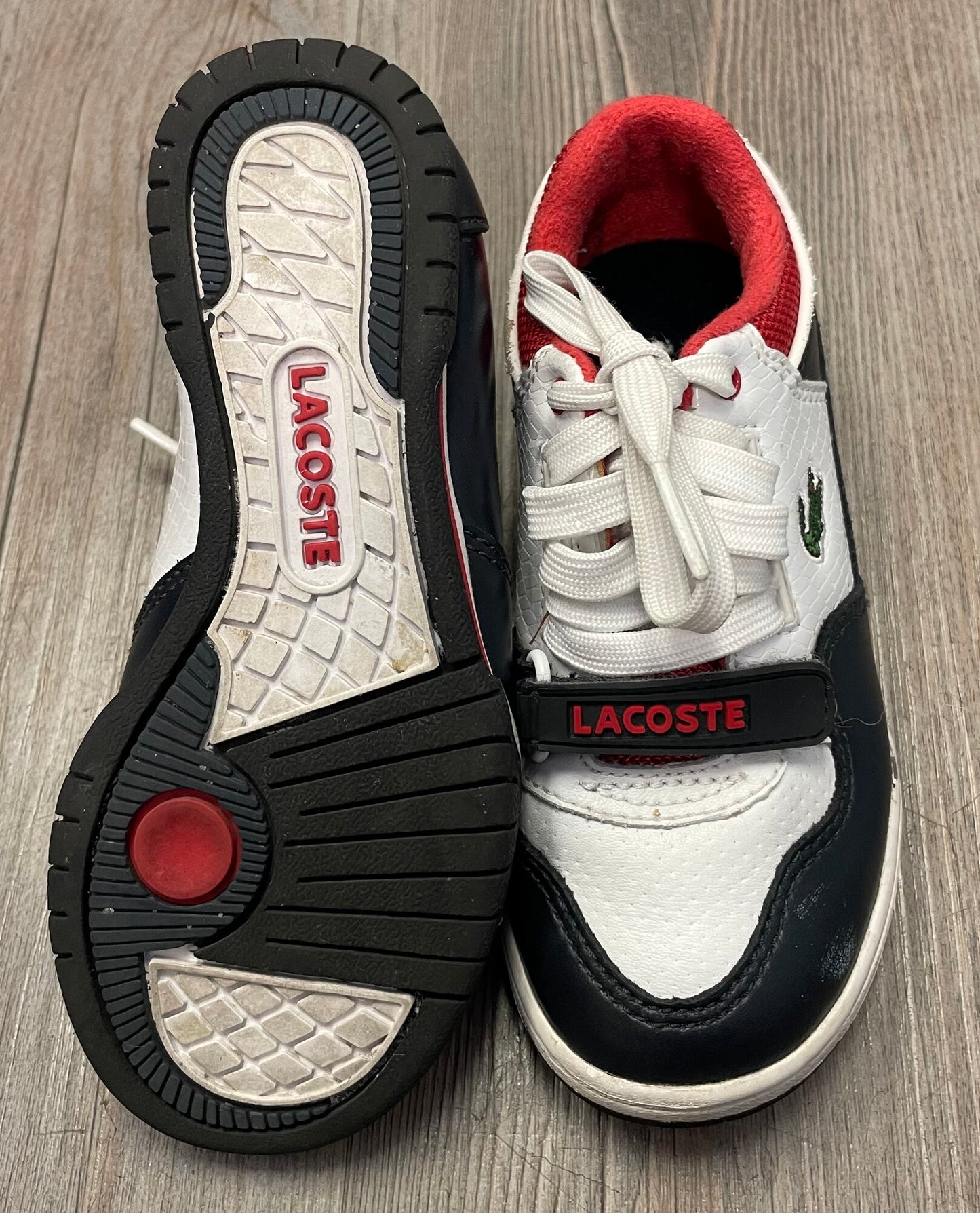 Multi  Lacoste Sneaker, 10.5T
