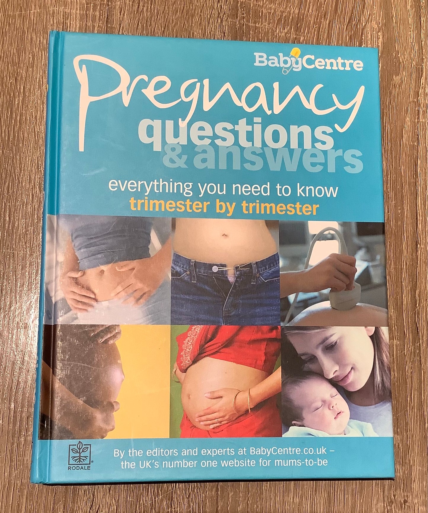 Multi  Pregnancy Questions, Hardcover