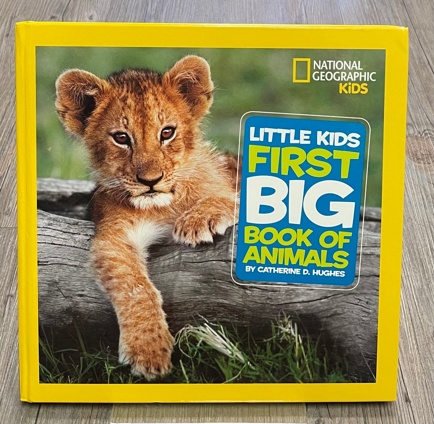 Multi  Little Kids First Big Boo, Hardcover
