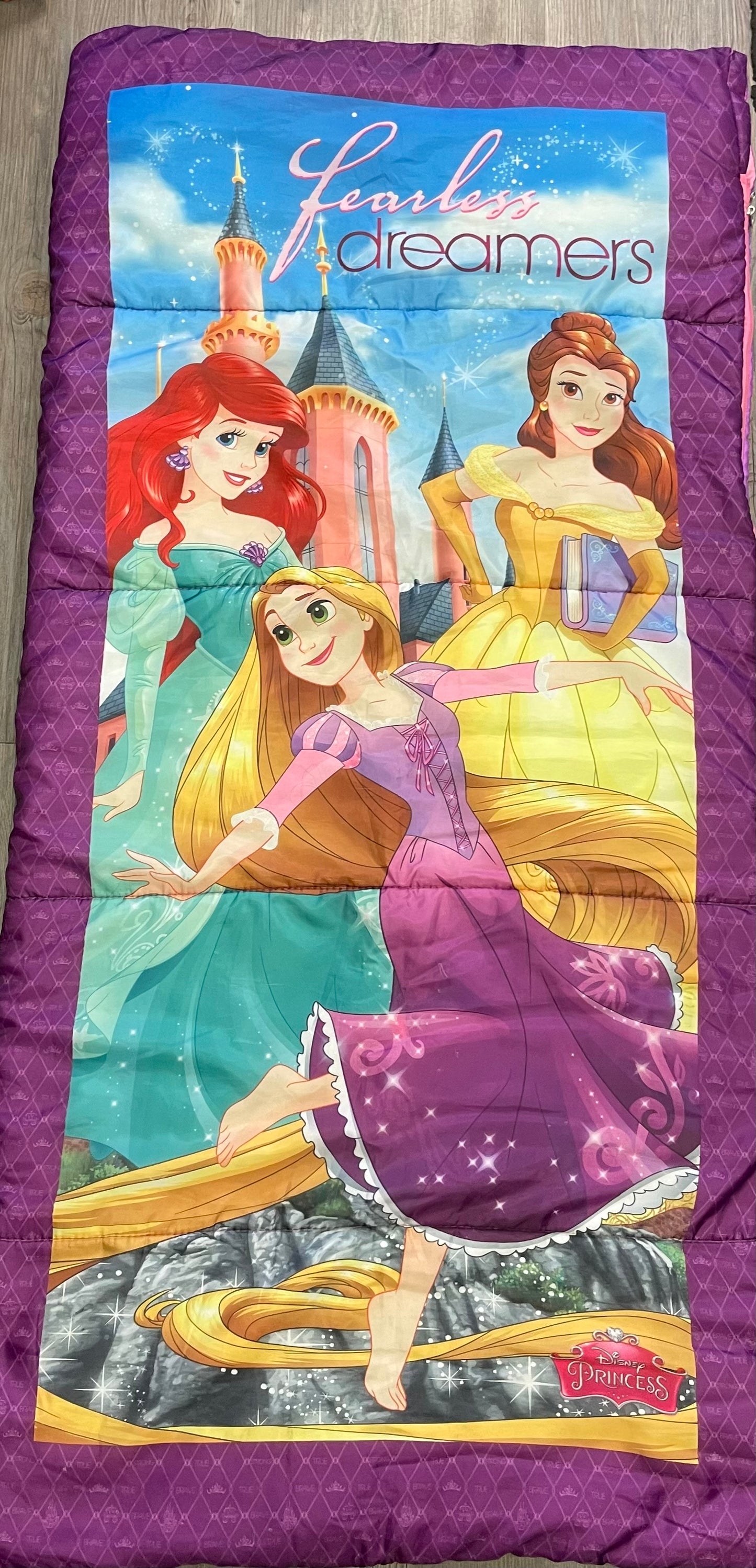 Multi  Disney Sleeping Bag, 28 In X 56