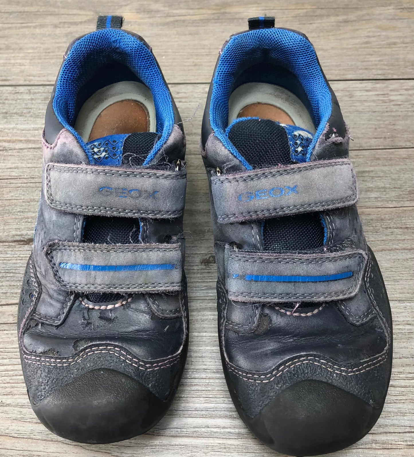 Grey/blu  Geox Velcro Shoes, 11Y