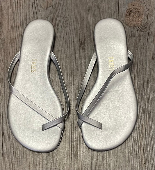 Silver  Tkees Flip Flop, 3Y