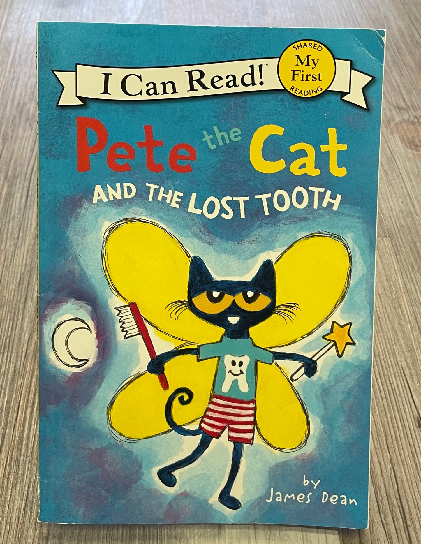 Multi  Pete The Cat And The Lost, Paperback