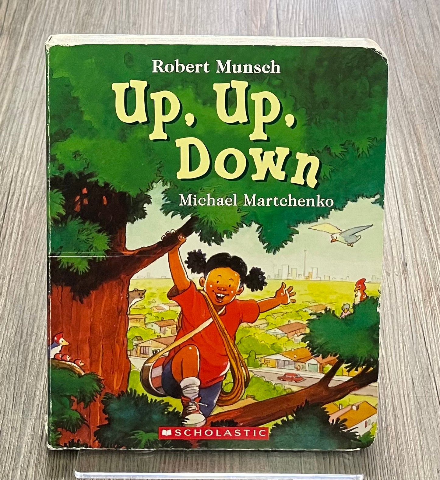 Multi  Up Up Down, Boardbook