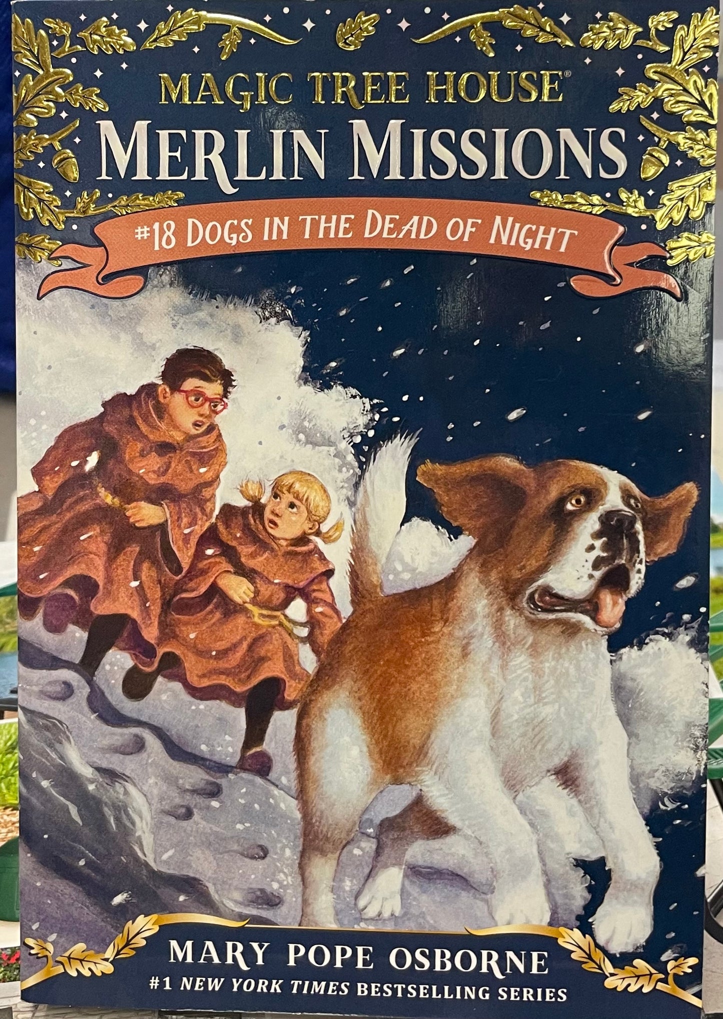 Multi  Magic Tree House #18, Paperback