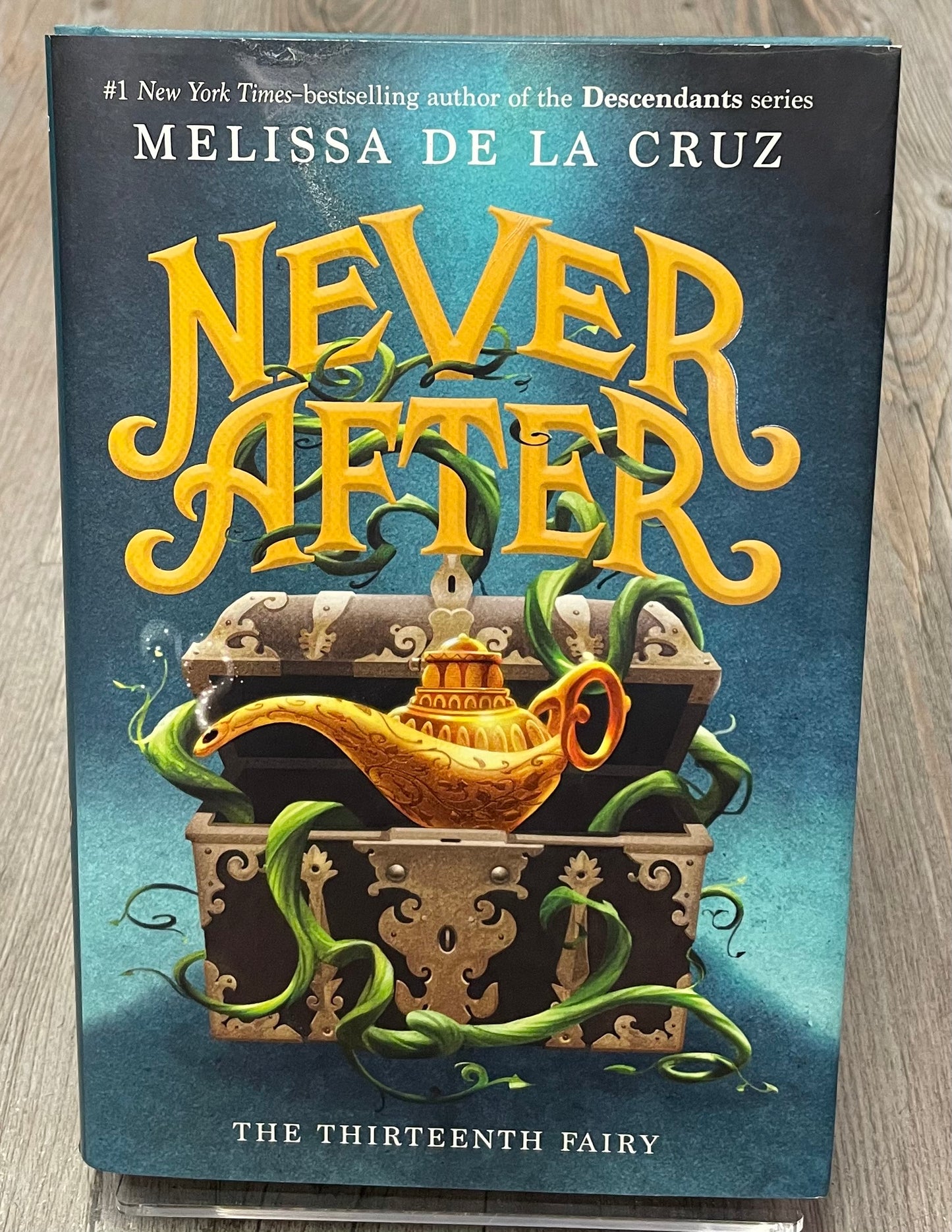 Multi  Never After, Hardcover