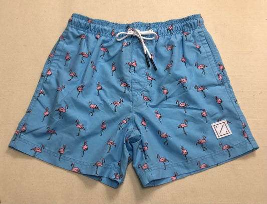 Blue  AEO Swimming Trunk, 14Y+