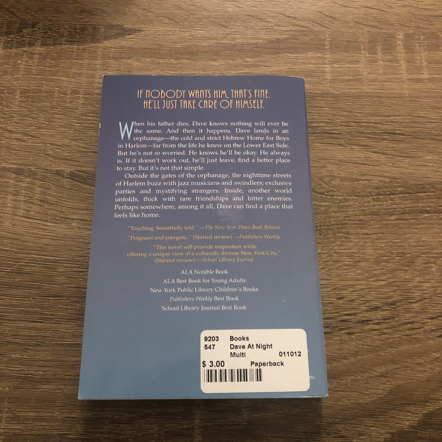 Multi  Dave At Night, Paperback