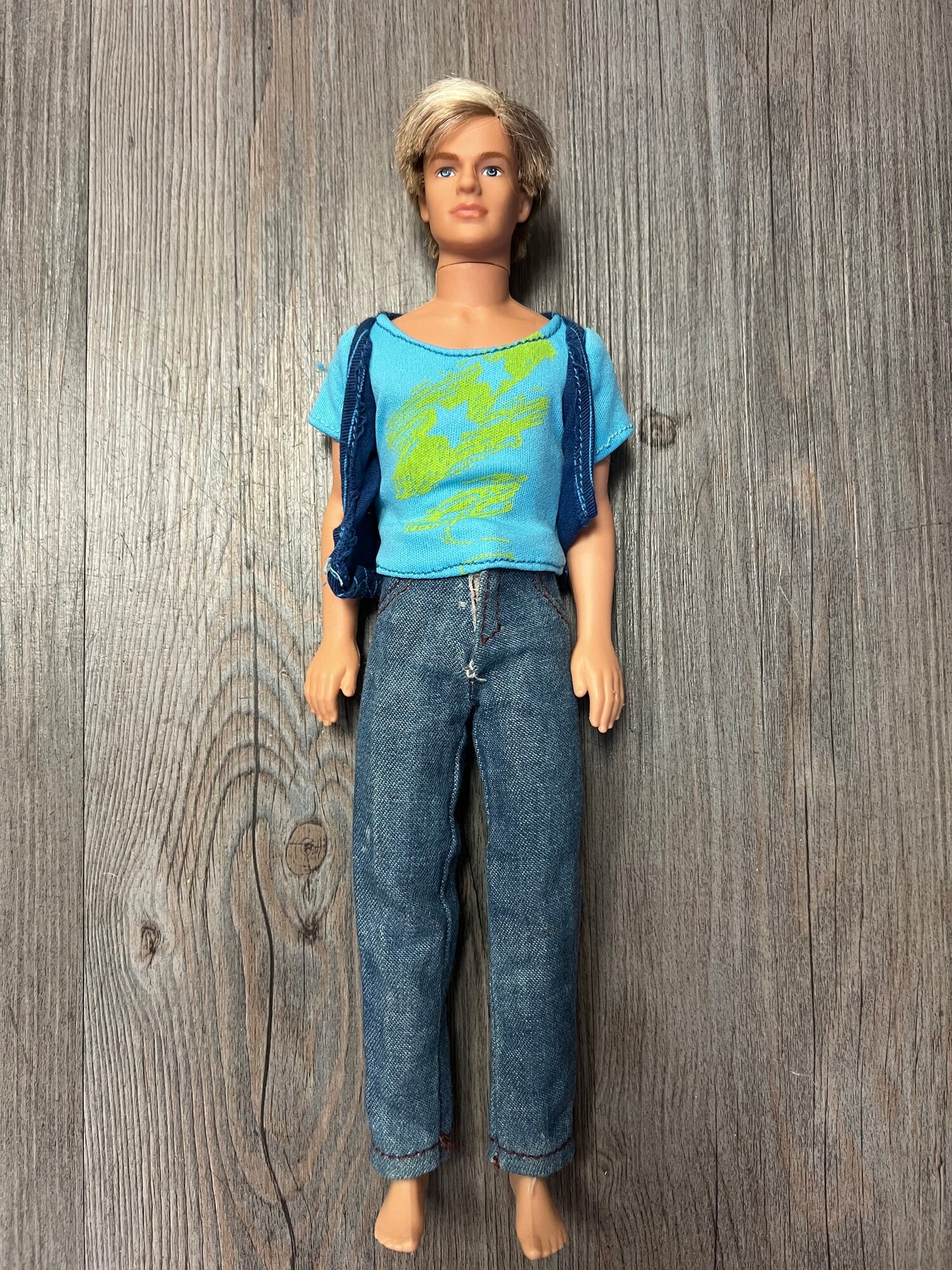 Multi  Ken Doll, 12 Inch