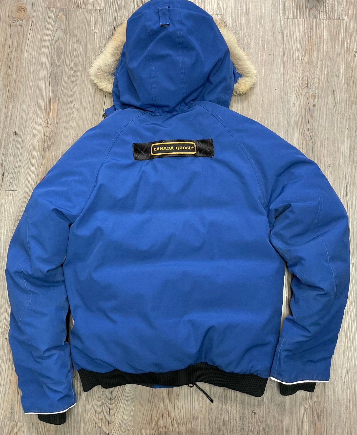 Blue  Canada Goose Chilliwack B, 18Y