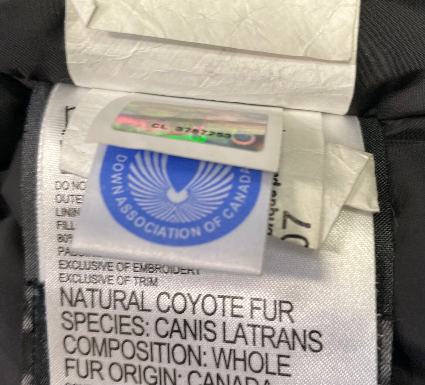 Blue  Canada Goose Chilliwack B, 18Y