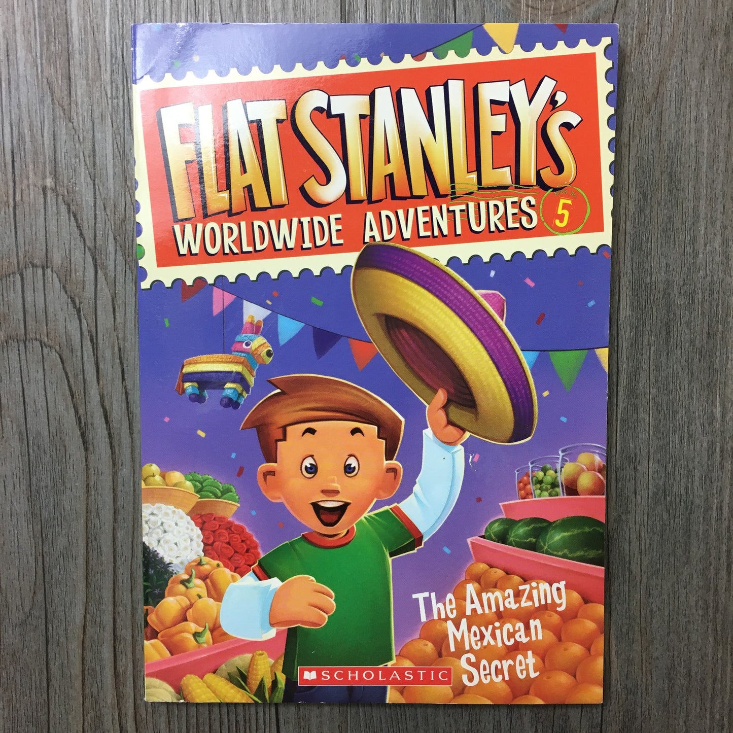 Multi  Flat Stanley, Series