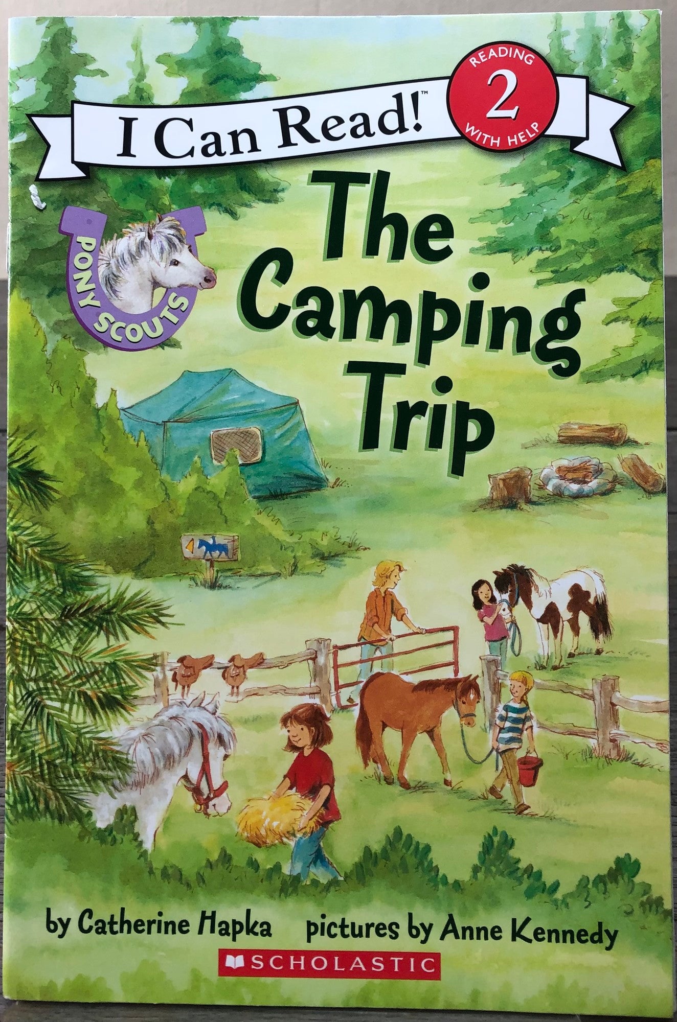Multi  The Camping Trip, Paperback