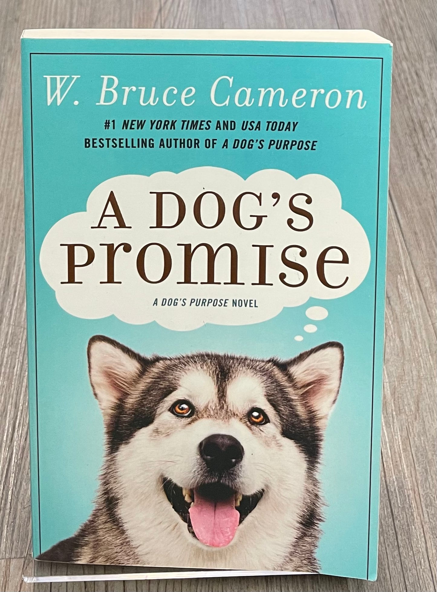 Blue  A Dogs Promise, Paperback