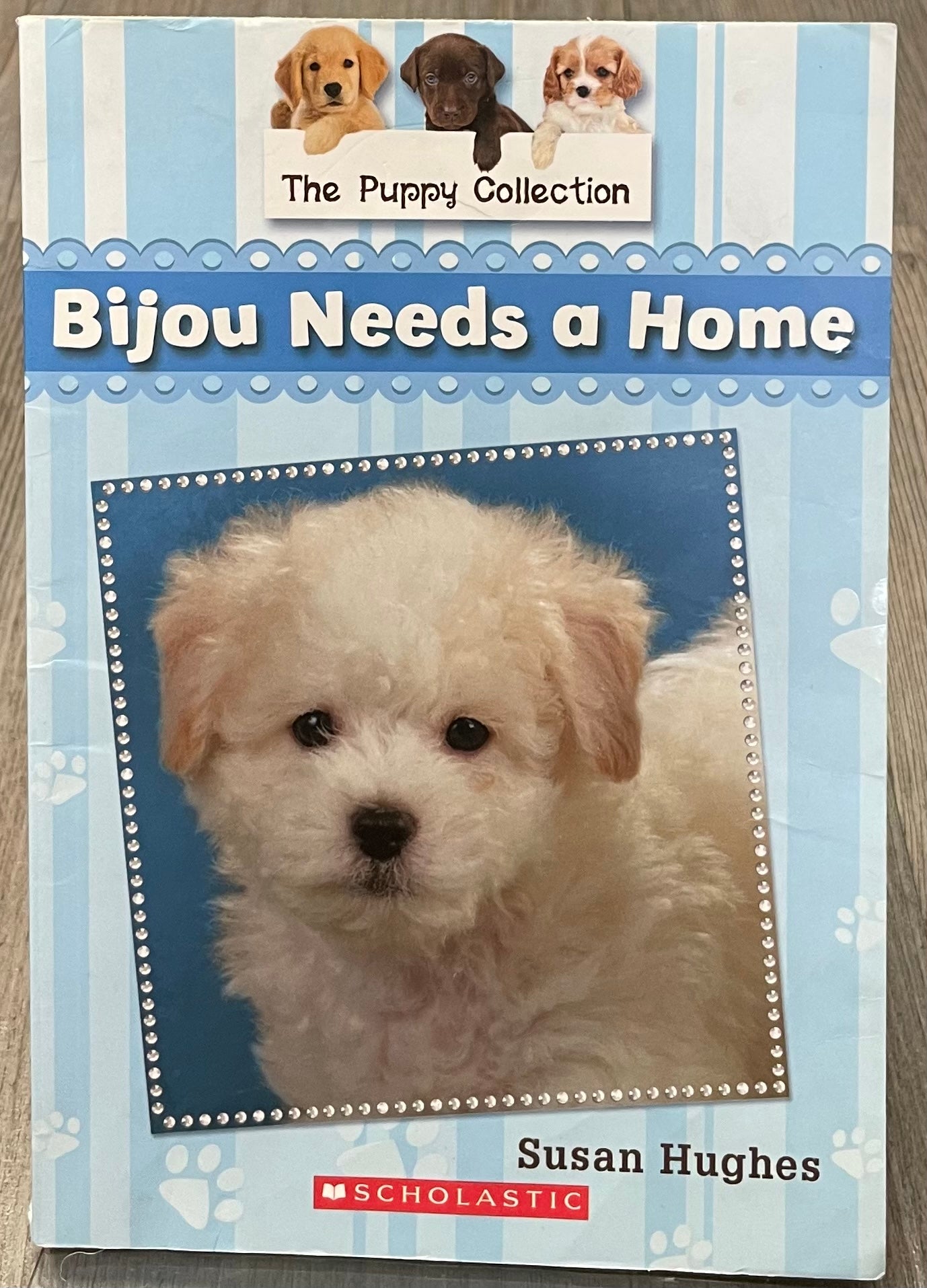 Multi  Bijou Needs A Home, Paperback