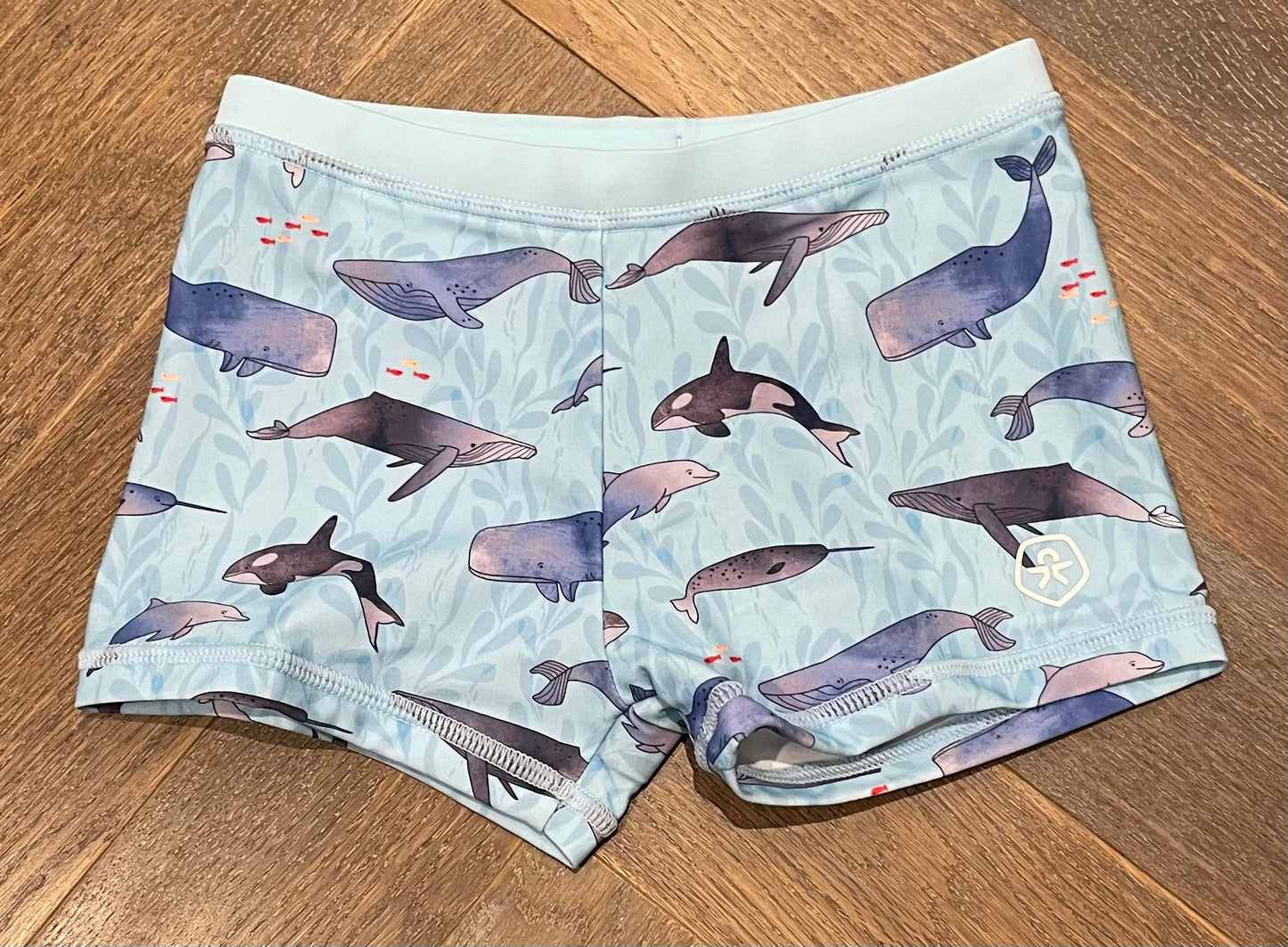 Dolphin  Color Kids Swimming Short, 6Y
