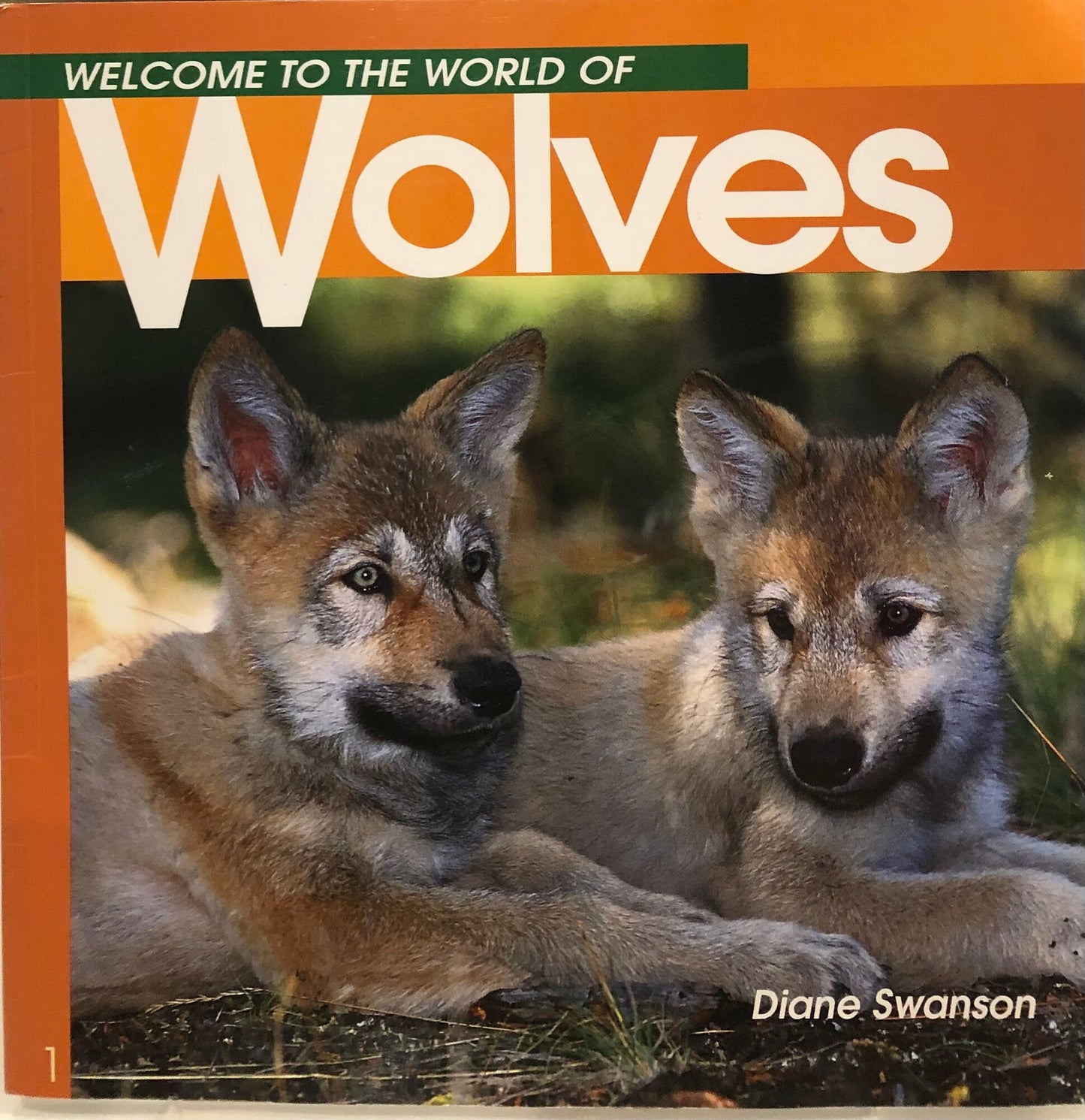 Orange  Wolves, Paperback