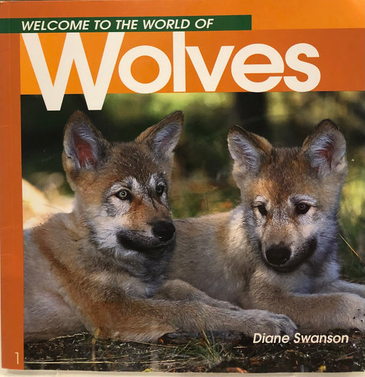 Orange  Wolves, Paperback