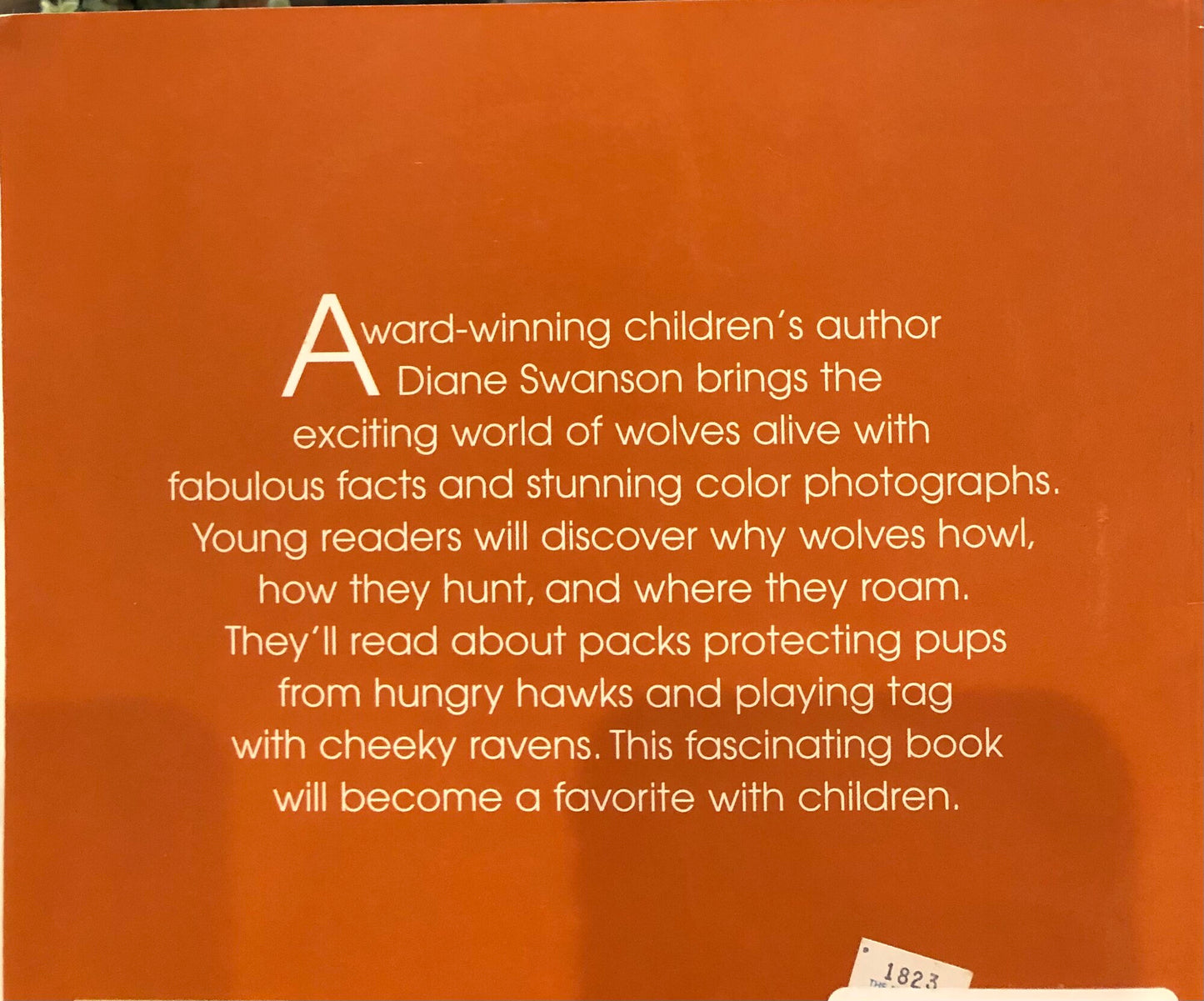 Orange  Wolves, Paperback