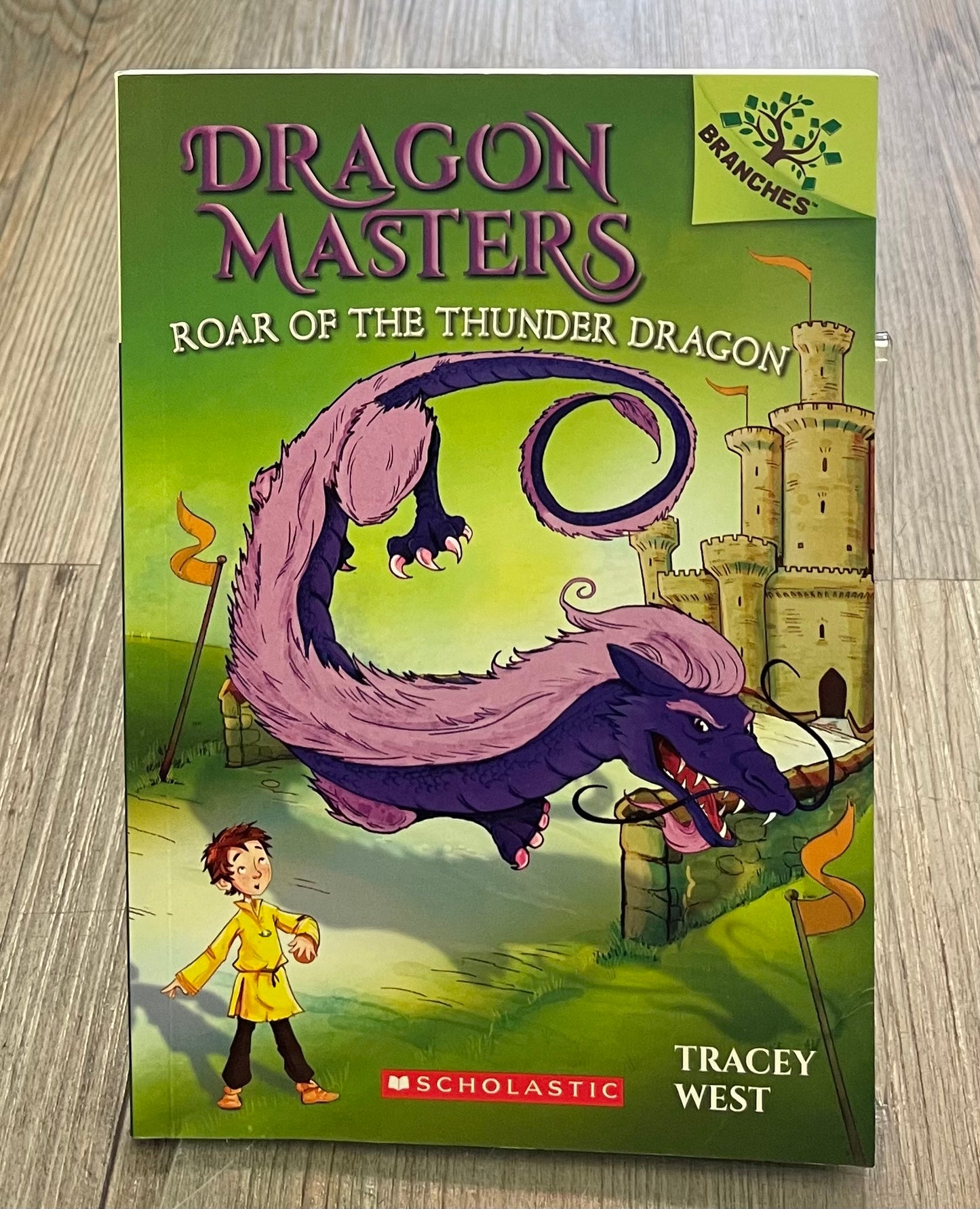 Multi  Dragon Masters #8, Paperback