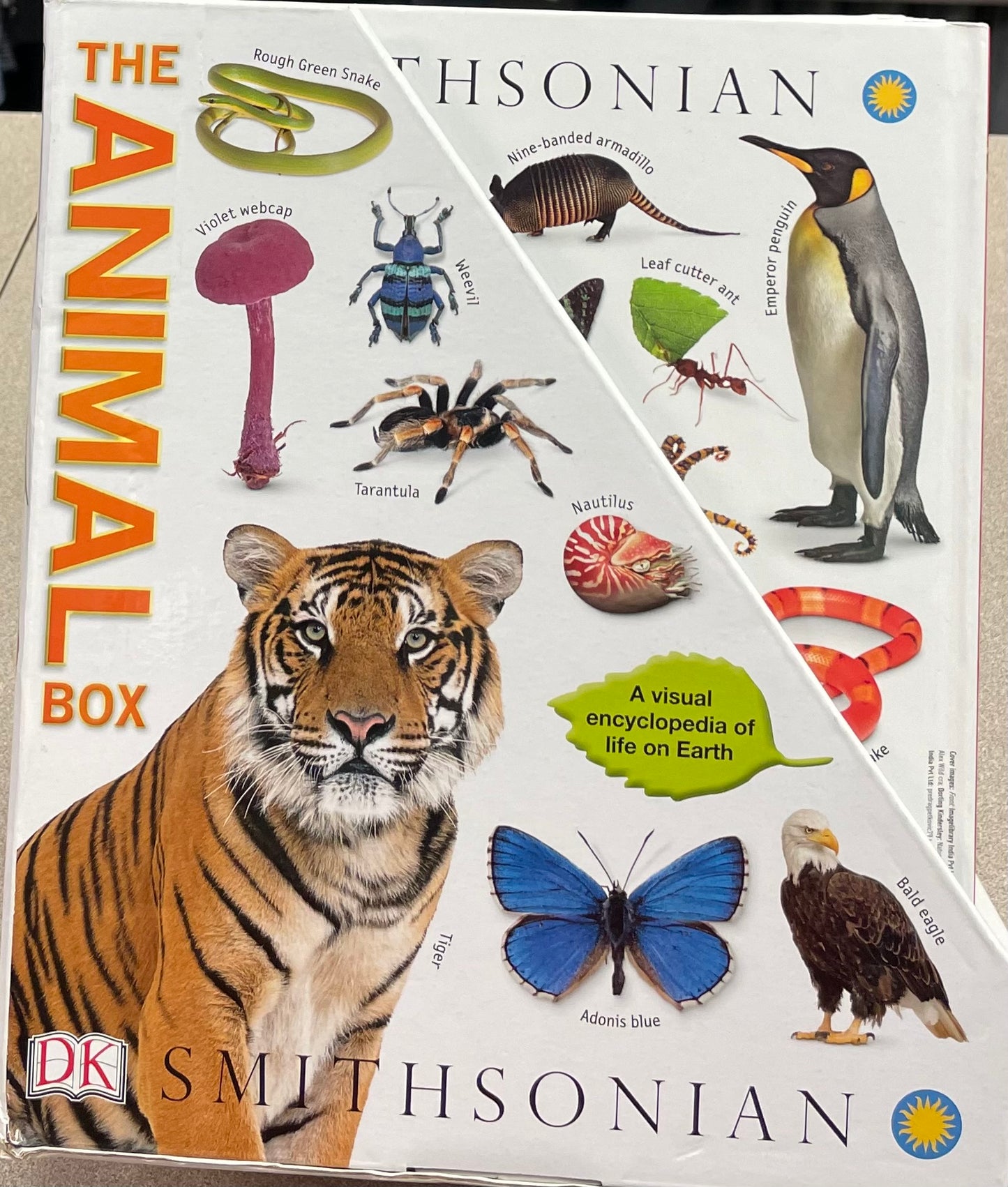 Multi  The Animal Box Smithsonia, Hardcover