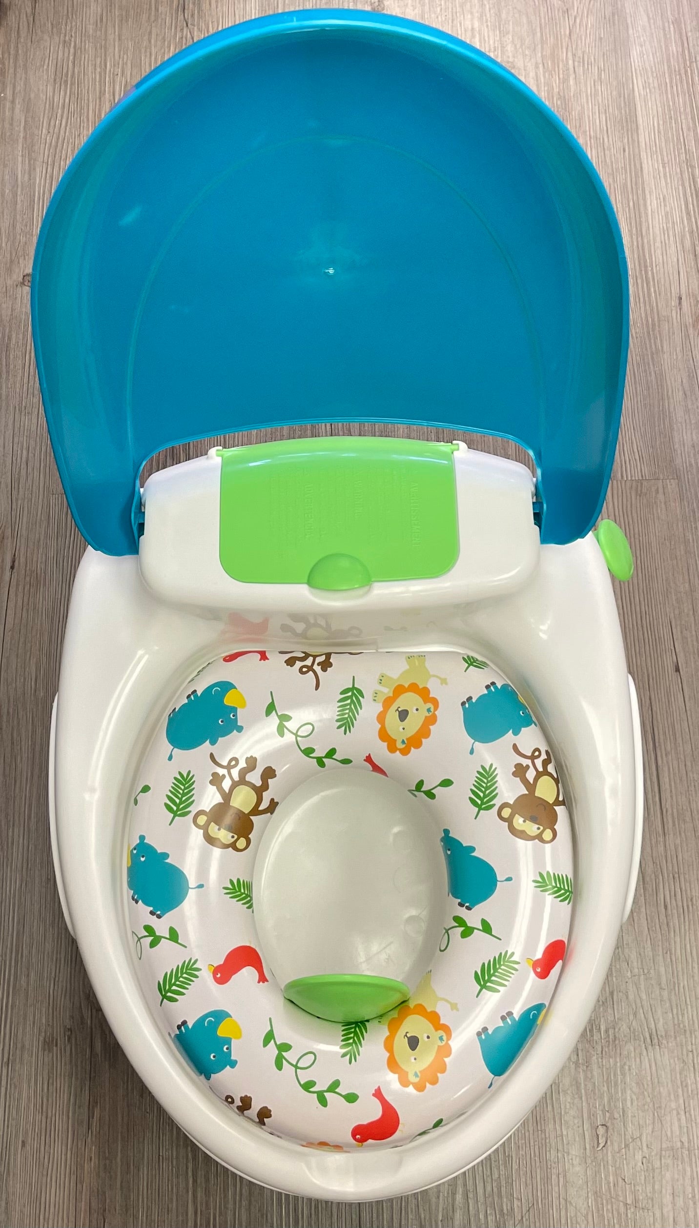 Multi  Summer Infant Potty Seat, EUC