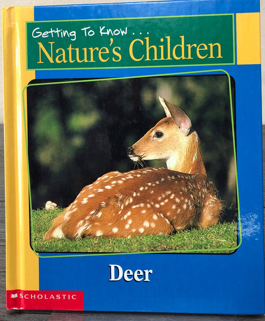 Multi  Getting To Know Deer, Hardcover