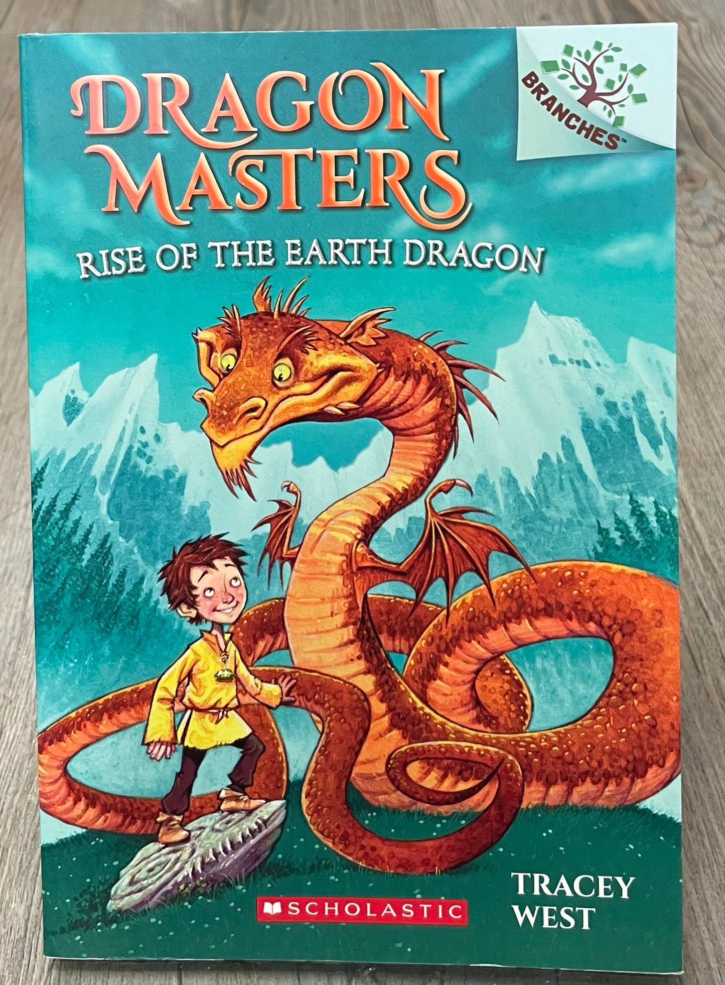 Multi  Dragon Masters, Paperback