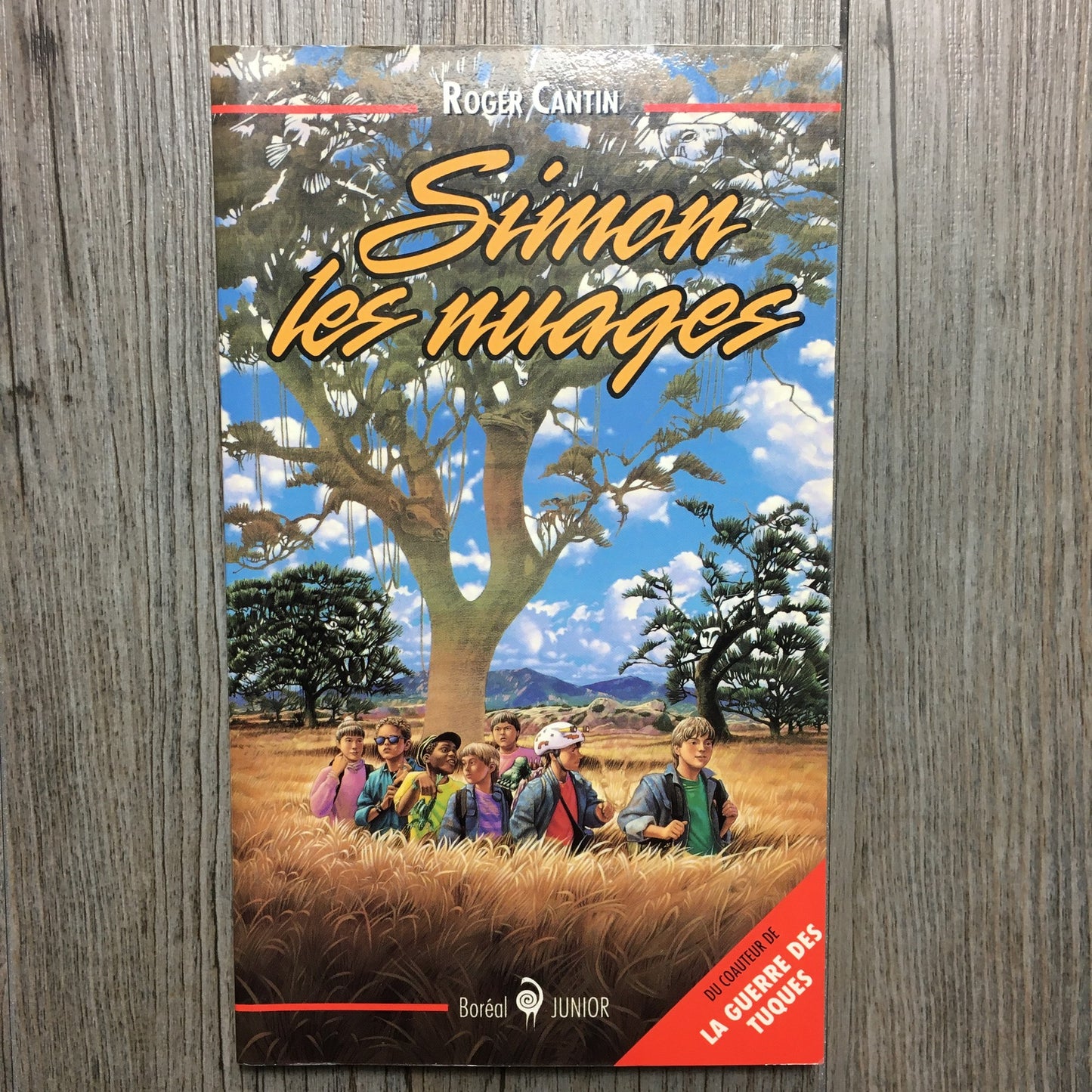 Multi  Simon Les Nuages, French