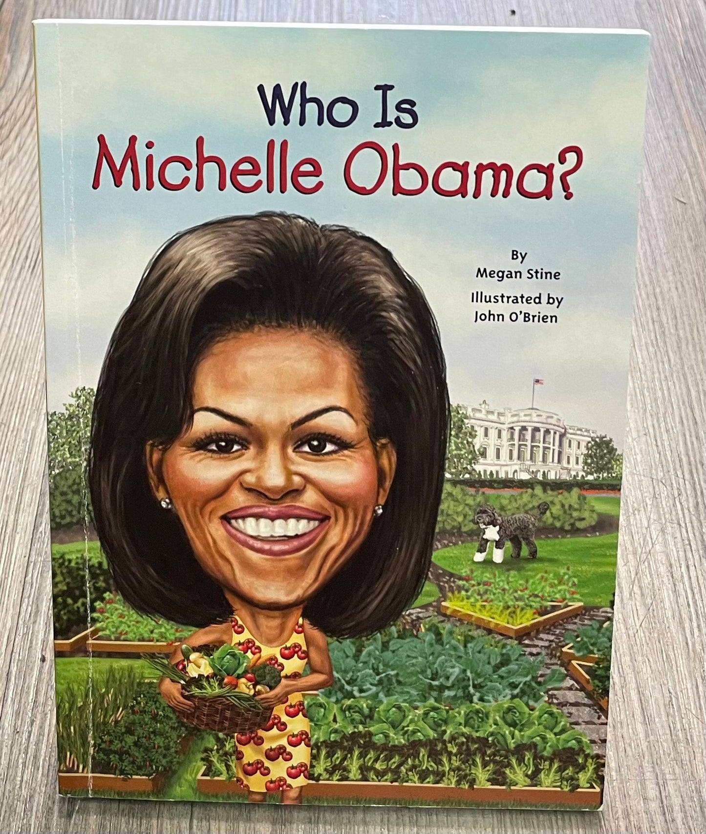 Multi  Who Is Michelle Obama, Paperback