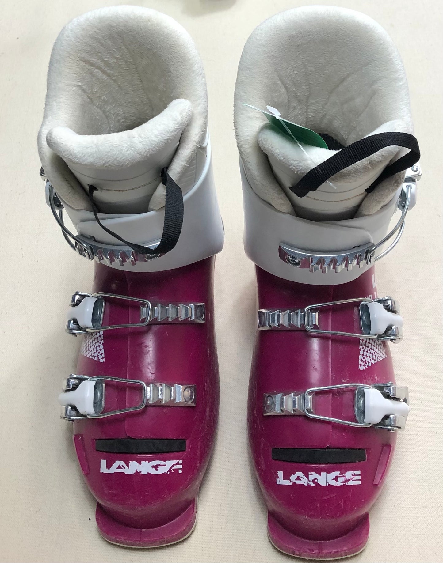 Fuchsia  Lange Sarlet 50, 21.5