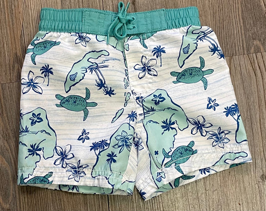 Mint  Old Navy Swimming Shorts, 6-12M