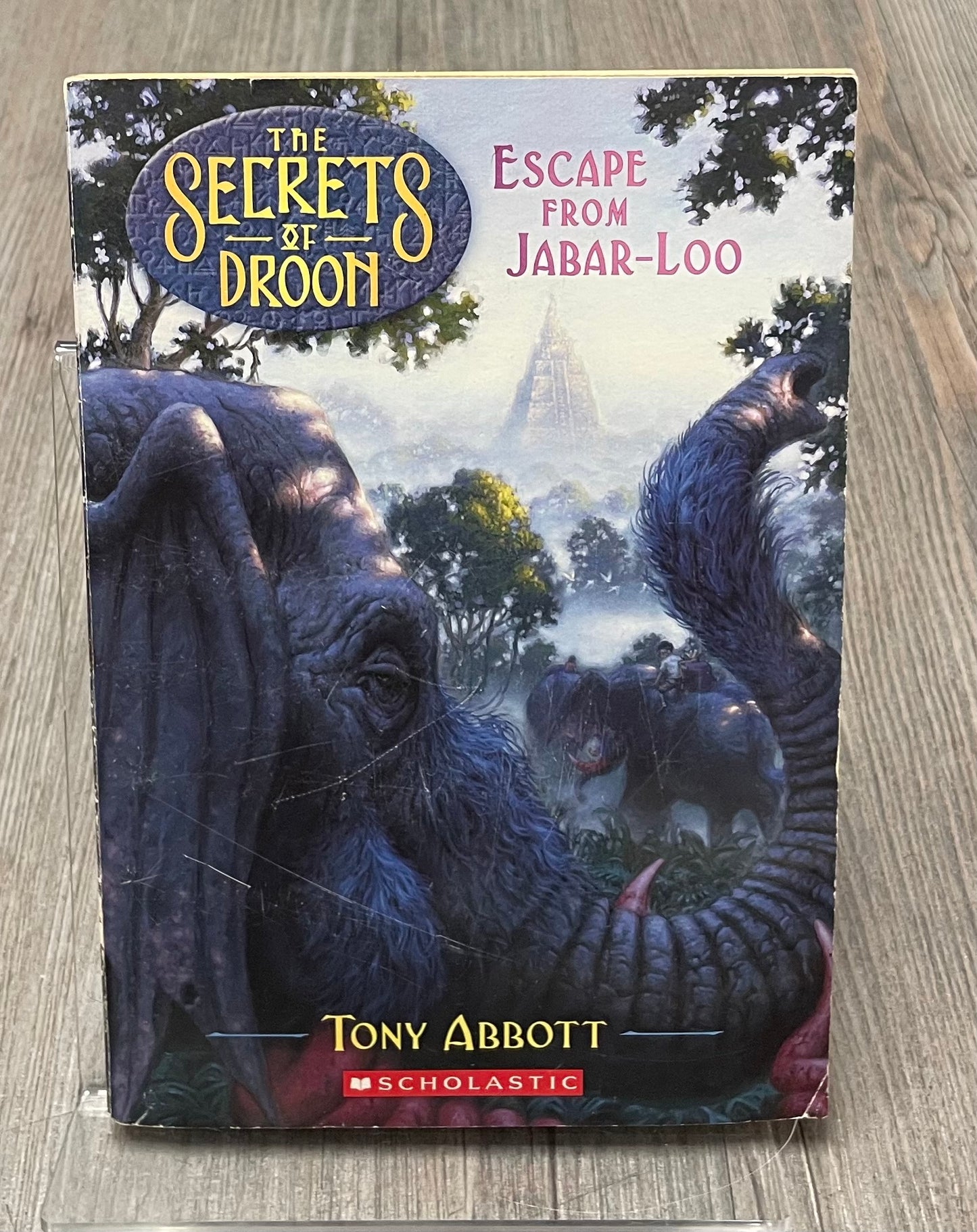 Multi  The Secret Of Droon, Paperback