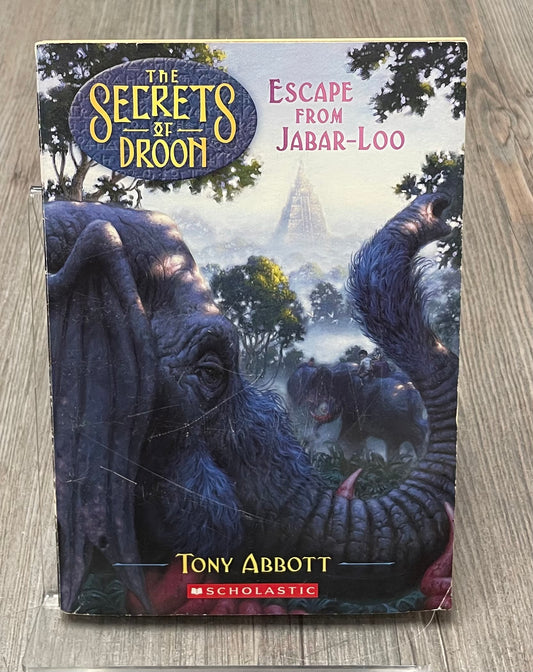 Multi  The Secret Of Droon, Paperback
