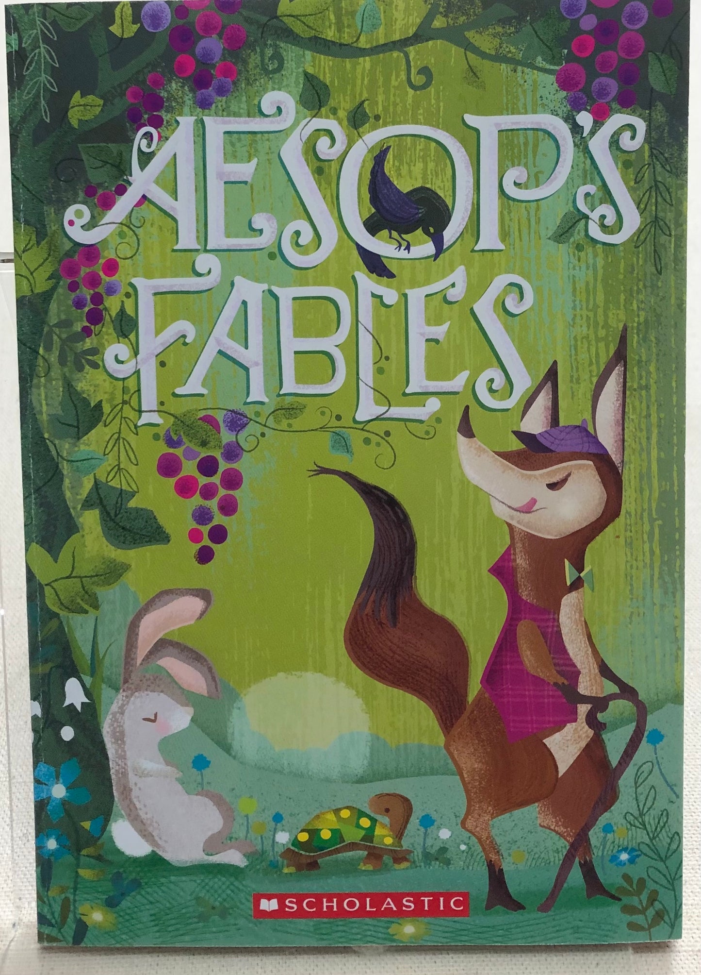 Multi  Aesops Fables, Series