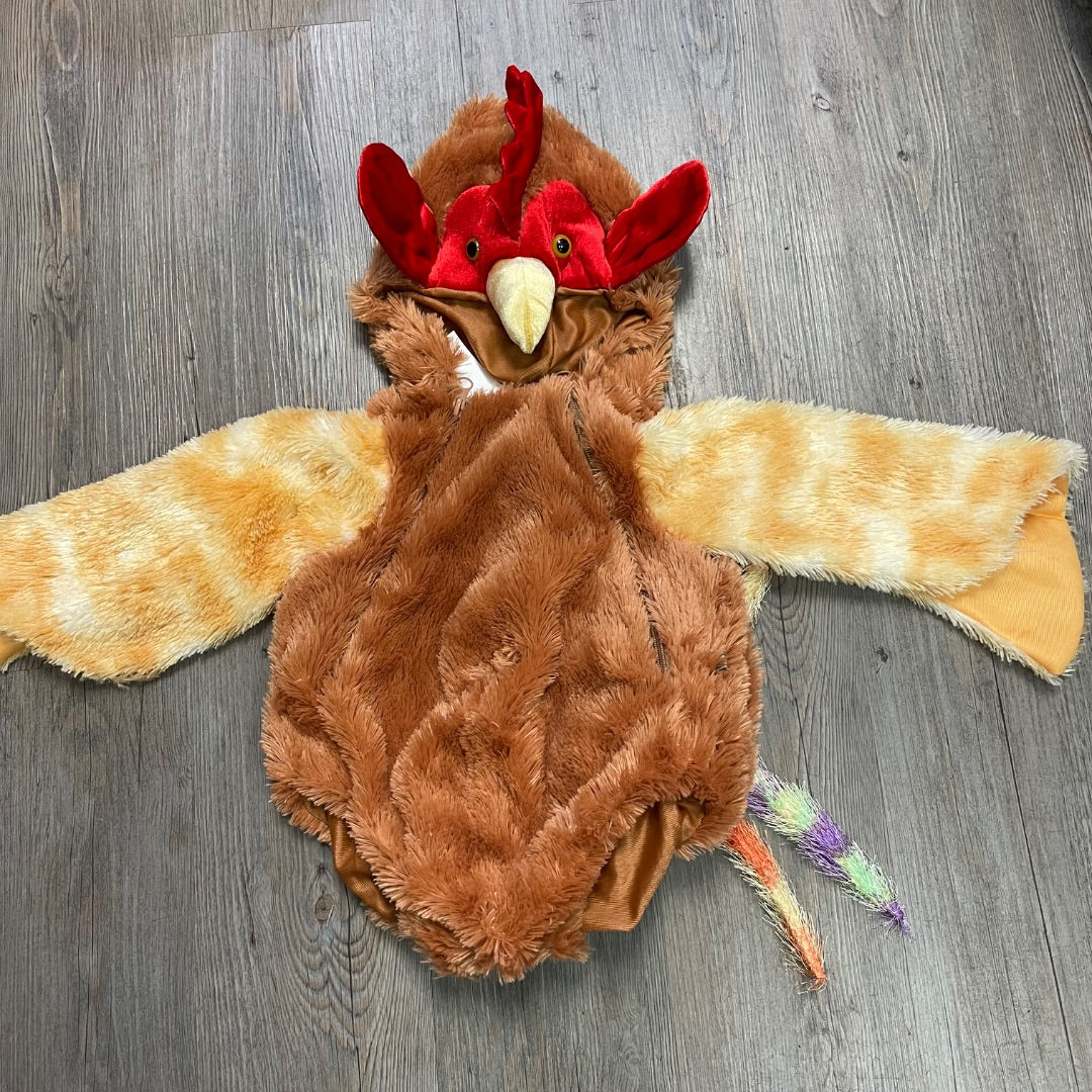 Multi Colour Baby Style Turkey Costume, 6-12M