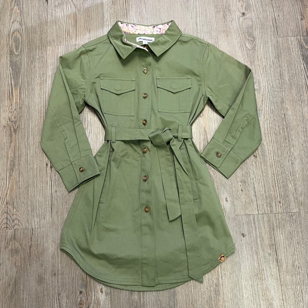 Appaman Button Down Dress, 6Y