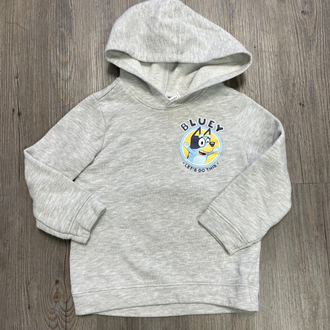 Grey Bluet Pullover Hoodie, 4Y