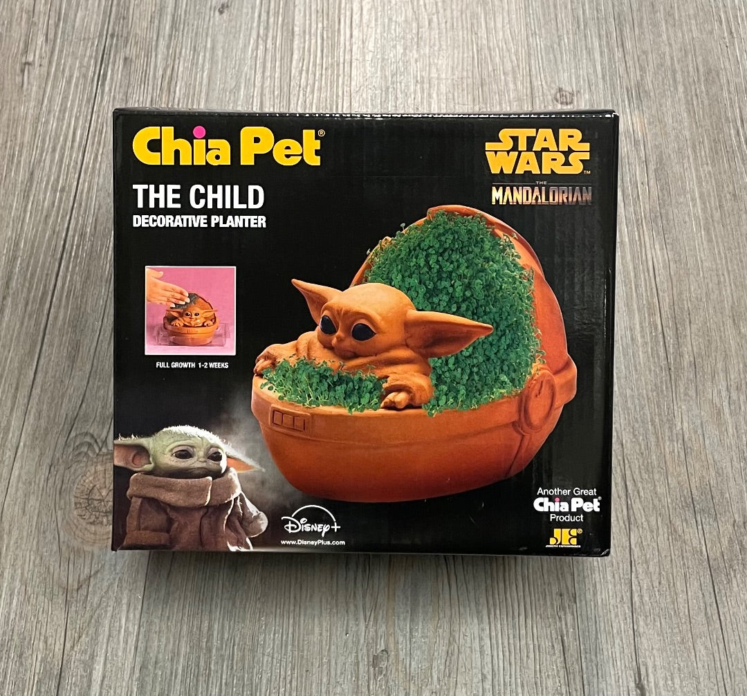 Clay Chia Pet Decorative Planter, 3Y+