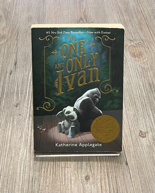 Multi Colour  The One and Only Ivan, Paperback