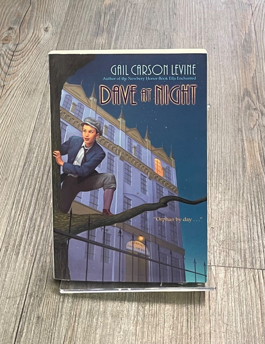 Multi Colour  Dave At Night, Paperback