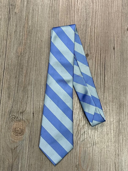 Blue Gap Neck Tie