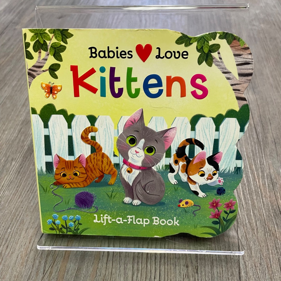 Multi Colour  Kittens, Boardbook