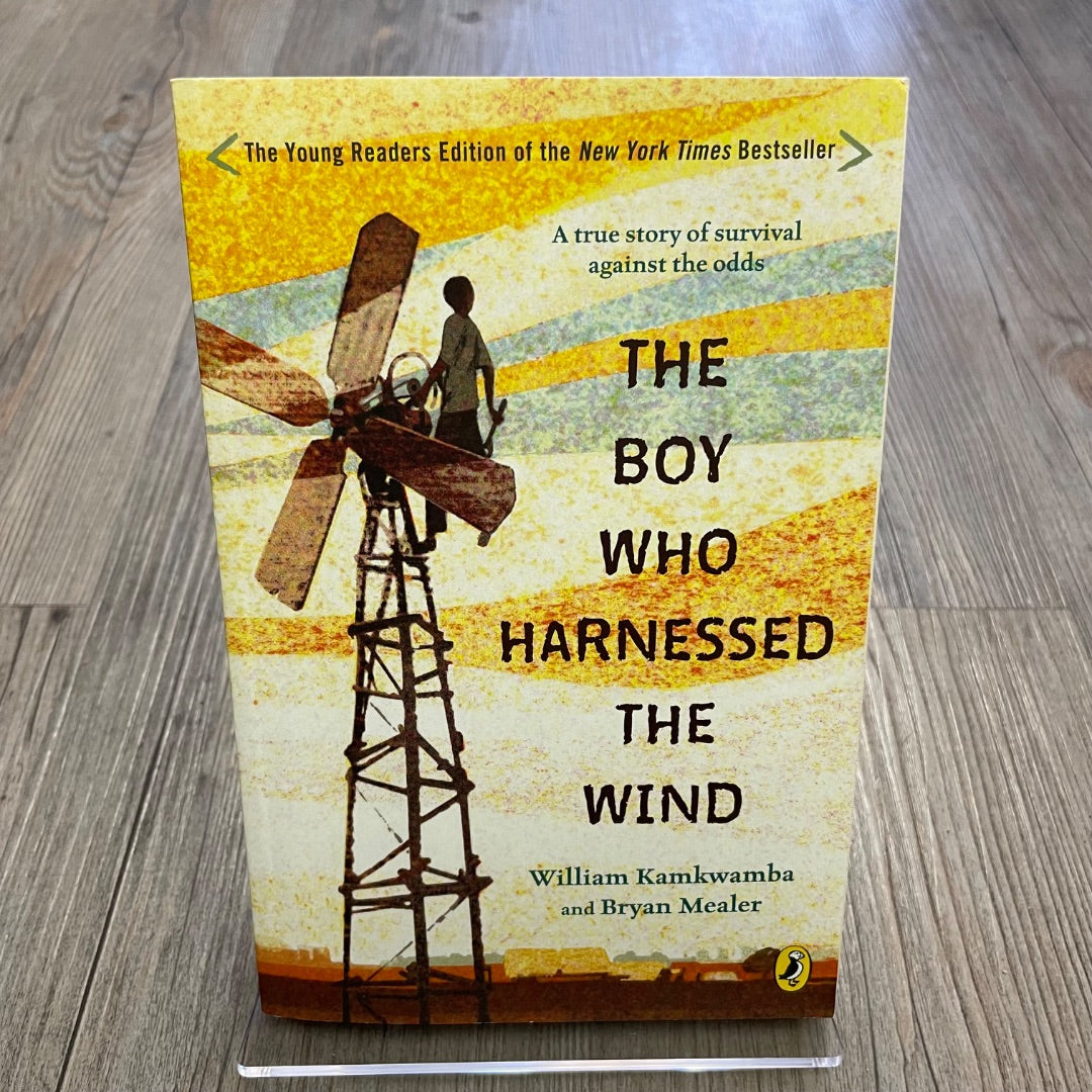 Multi Colour  The Boy Who Harnessed The Wind, Paperback